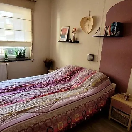 Lorajoja A 400m De La Mer, Parking Privatif, 3 코크시데